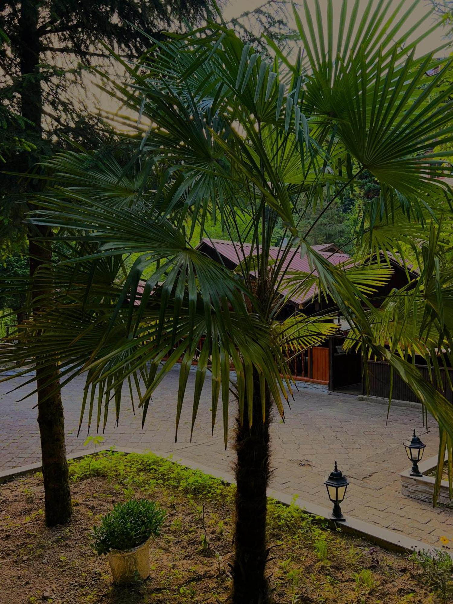 Isikli Kale Hotel Caykara Dış mekan fotoğraf